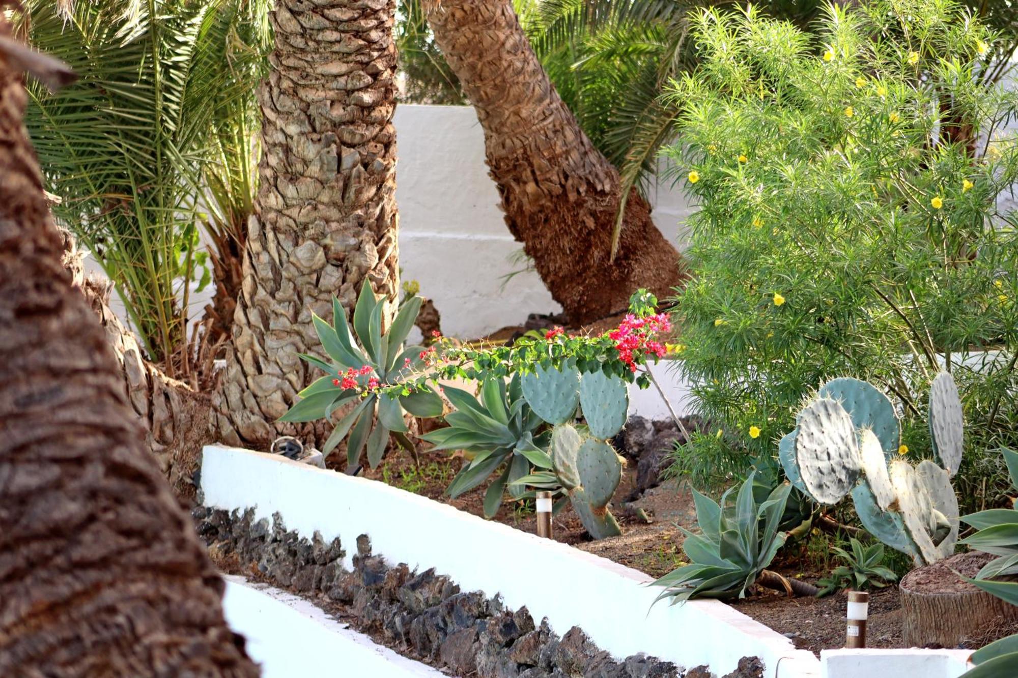 Cortijo San Ignacio Hotel El Cortijo  Екстериор снимка