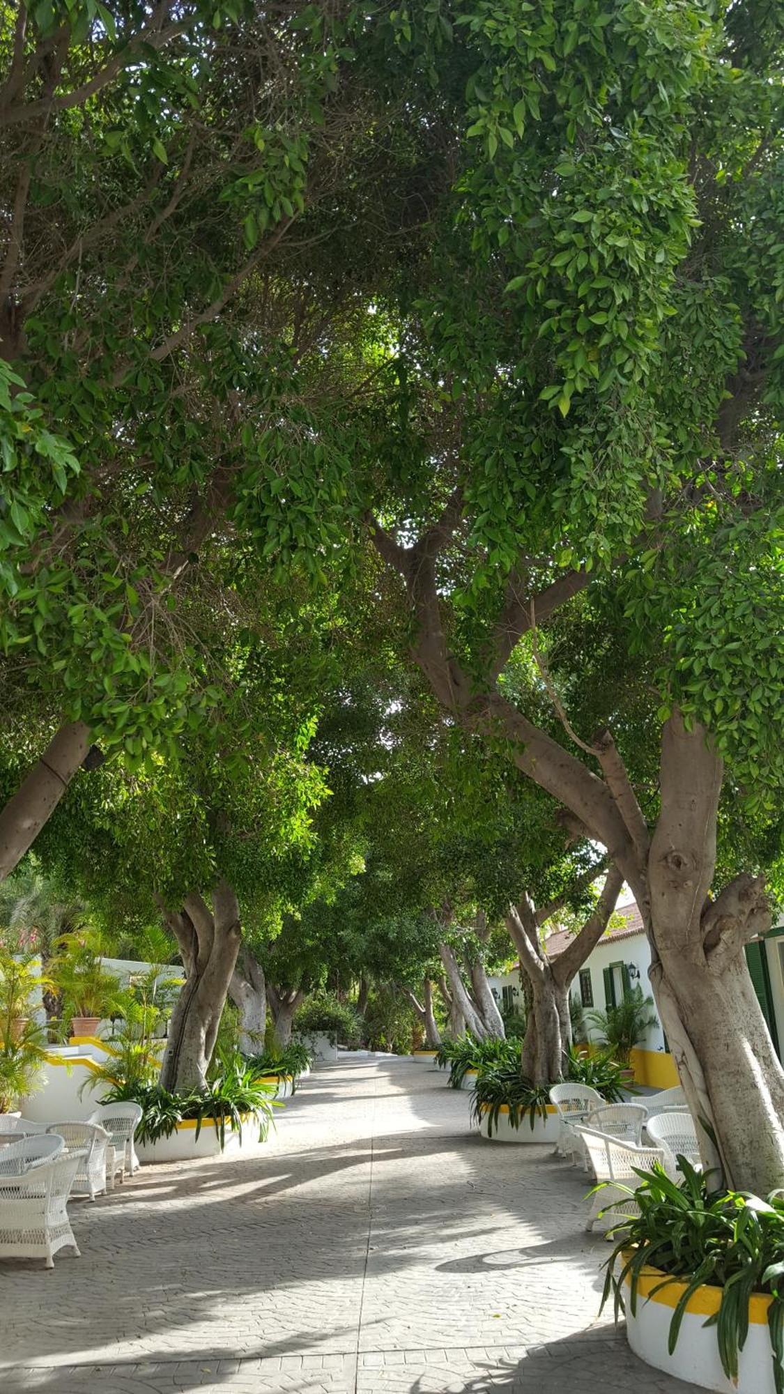 Cortijo San Ignacio Hotel El Cortijo  Екстериор снимка