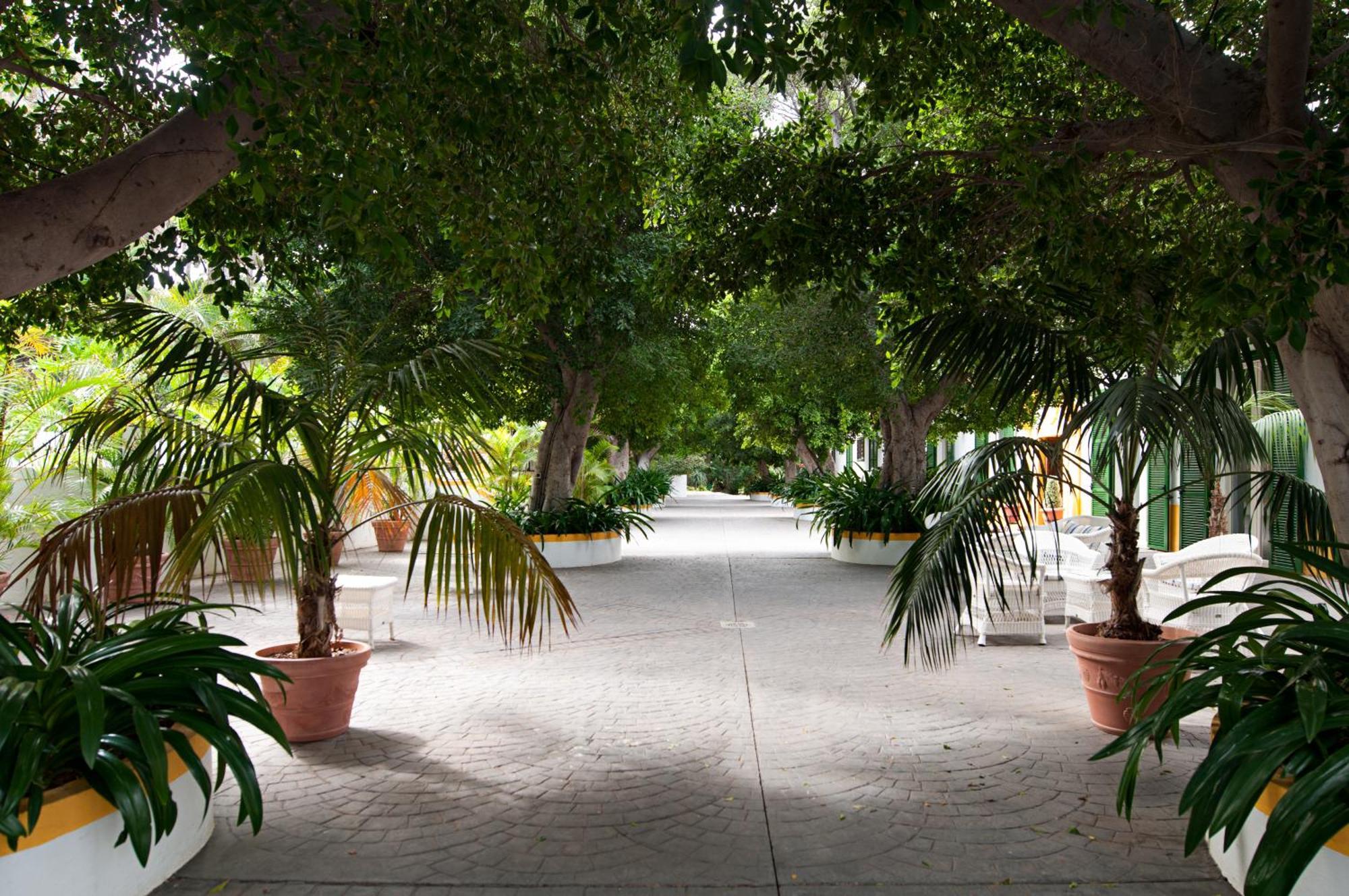 Cortijo San Ignacio Hotel El Cortijo  Екстериор снимка